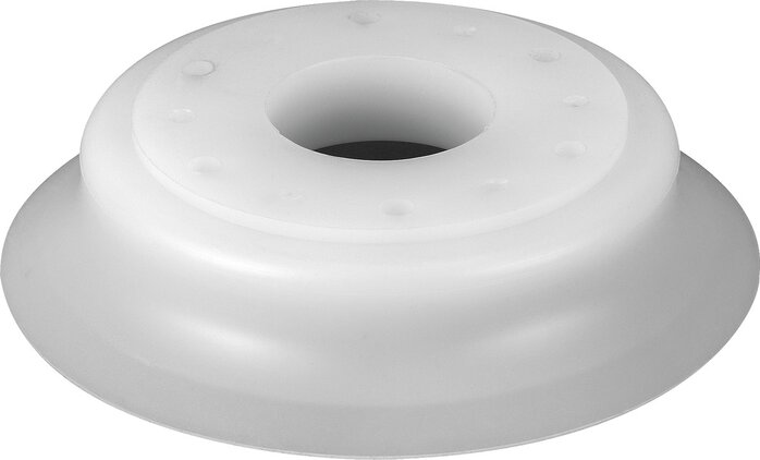 Illustrazione esemplare: ESV-80-ES (191045)   &   ESV-100-ES (191049)