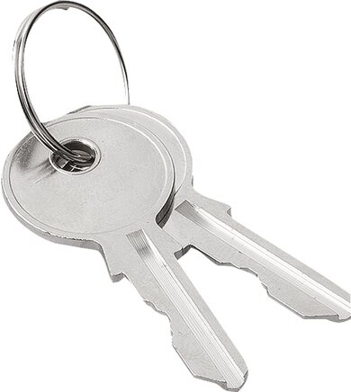 Exemplarische Darstellung: 05586-101 (05586-101)   &   05586-1333 (05586-1333)   &   05586-2233 (05586-2233)