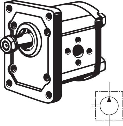 Illustrazione esemplare: Pompa idraulica ad ingranaggi con flangia standard europea (flangia Plessey), misura 2