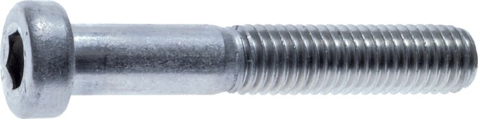 Illustrazione esemplare: Vite a brugola DIN 6912 (acciaio 8.8 zincato)