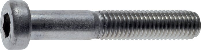 Zgleden uprizoritev: Hexagon socket screw DIN 6912 (stainless steel A2)