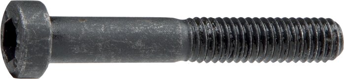 Exemplarische Darstellung: Innensechskantschraube DIN 6912 (Stahl blank, schwarz)