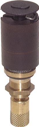 Exemplary representation: Replacement steam trap for filters & filter regulators - Multifix & Standard, automatic