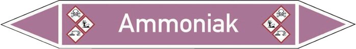 Illustrazione esemplare: Contrassegno per tubazione (doppia freccia), ammoniaca (GHS 05/06/09)