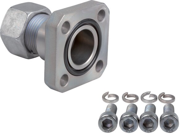 Exemplary representation: Straight flange screw joint, square pump flange