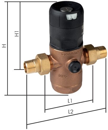 Illustrazione esemplare: Riduttore di pressione del filtro per acqua potabile e azoto (bronzo duro)