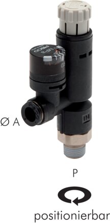 Illustrazione esemplare: Valvola regolatrice di pressione IQS filettatura/flessibile con manometro