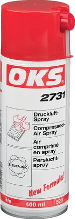Exemplary representation: OKS compressed air spray (spray can)