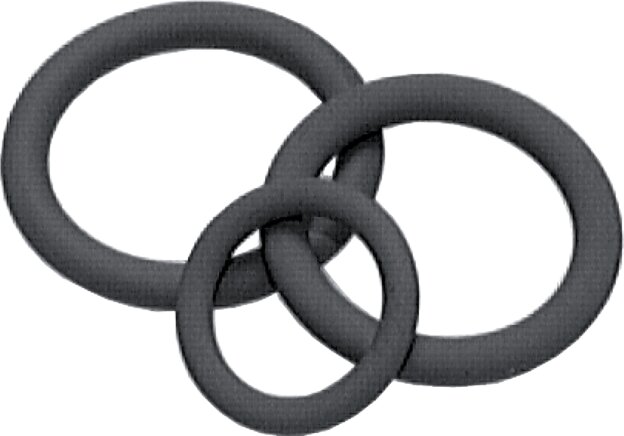 Illustrazione esemplare: O-ring per raccordi conici
