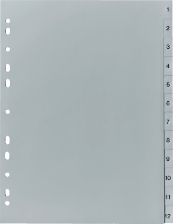 Exemplarische Darstellung: Register aus Kunststoff (1 - 12)