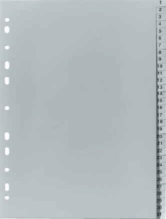 Exemplarische Darstellung: Register aus Kunststoff (1 - 31)