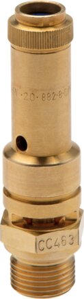 Exemplary representation: Safety valve (brass)