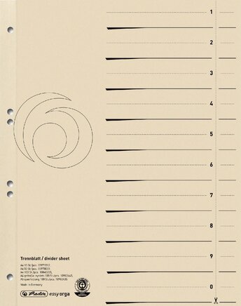 Exemplarische Darstellung: Trennblatt aus Karton