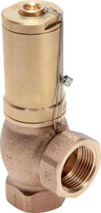 Exemplary representation: Overflow valve (gunmetal / brass)