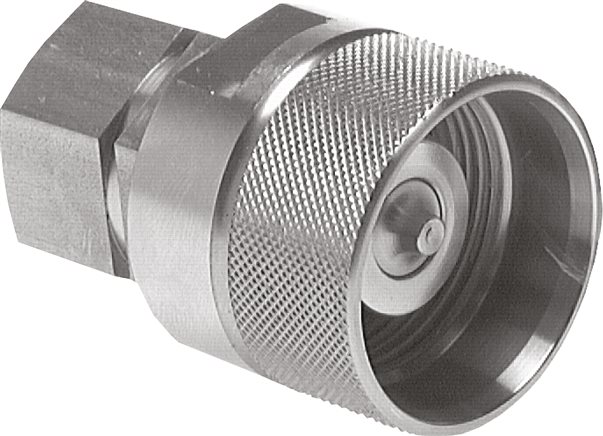 Zgleden uprizoritev: Quick-release screw couplings with female thread, plug, stainless steel