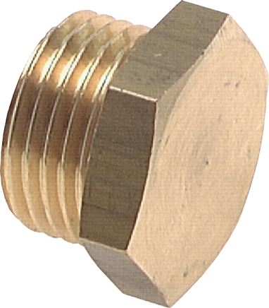 Zgleden uprizoritev: Closing plug with external hexagon, cylindrical thread, 16 bar brass