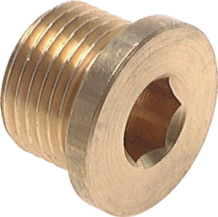 Zgleden uprizoritev: Closing plug with hexagon socket, cylindrical thread, brass