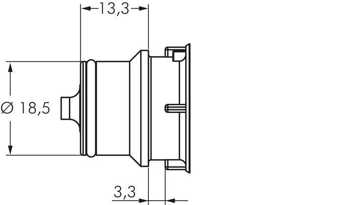 detailed view: Plug dimensions